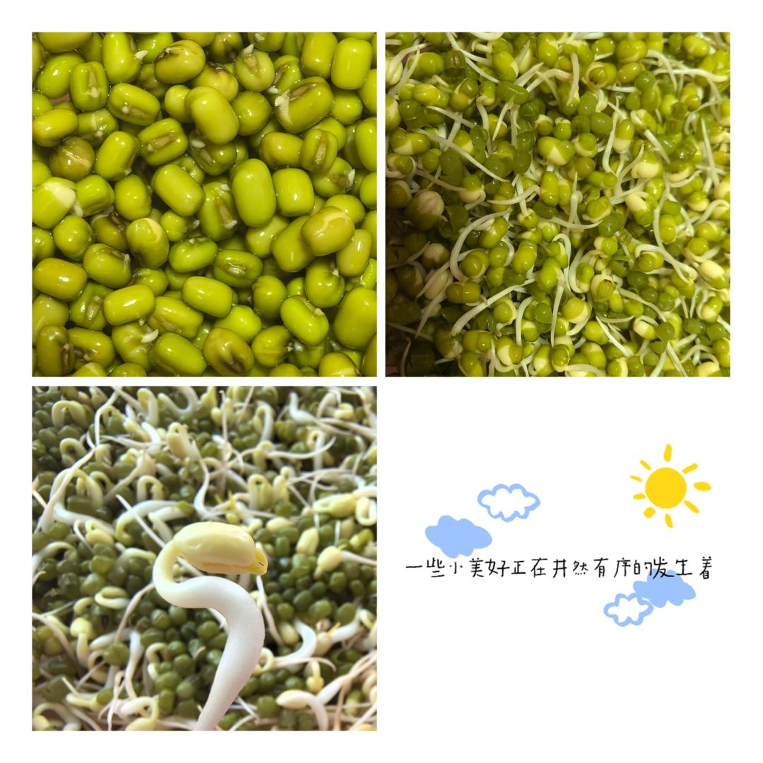 那些小美好