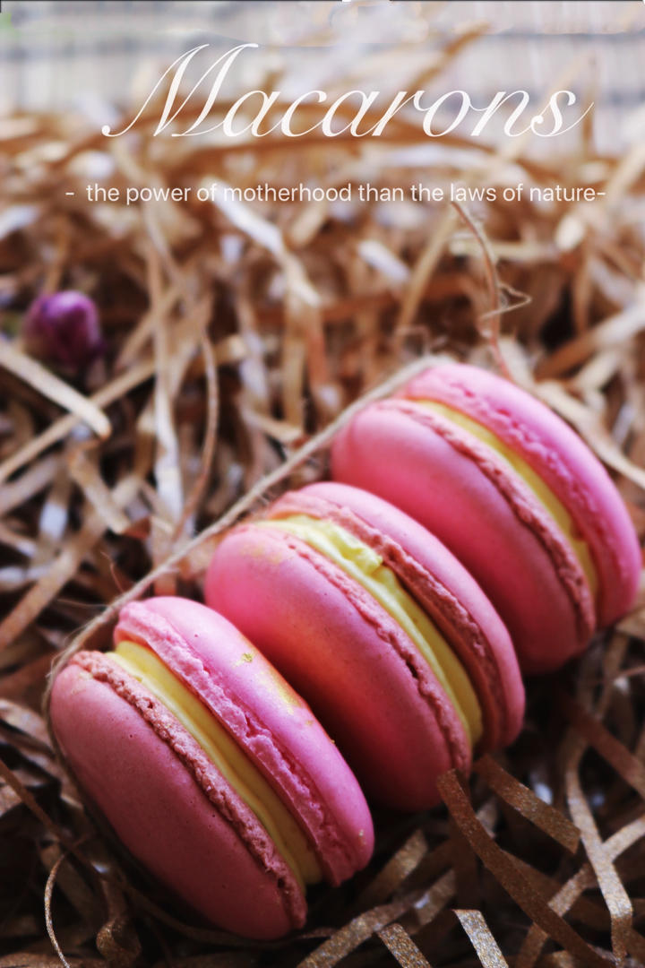 jkey-恩宇居做的玫瑰马卡龙