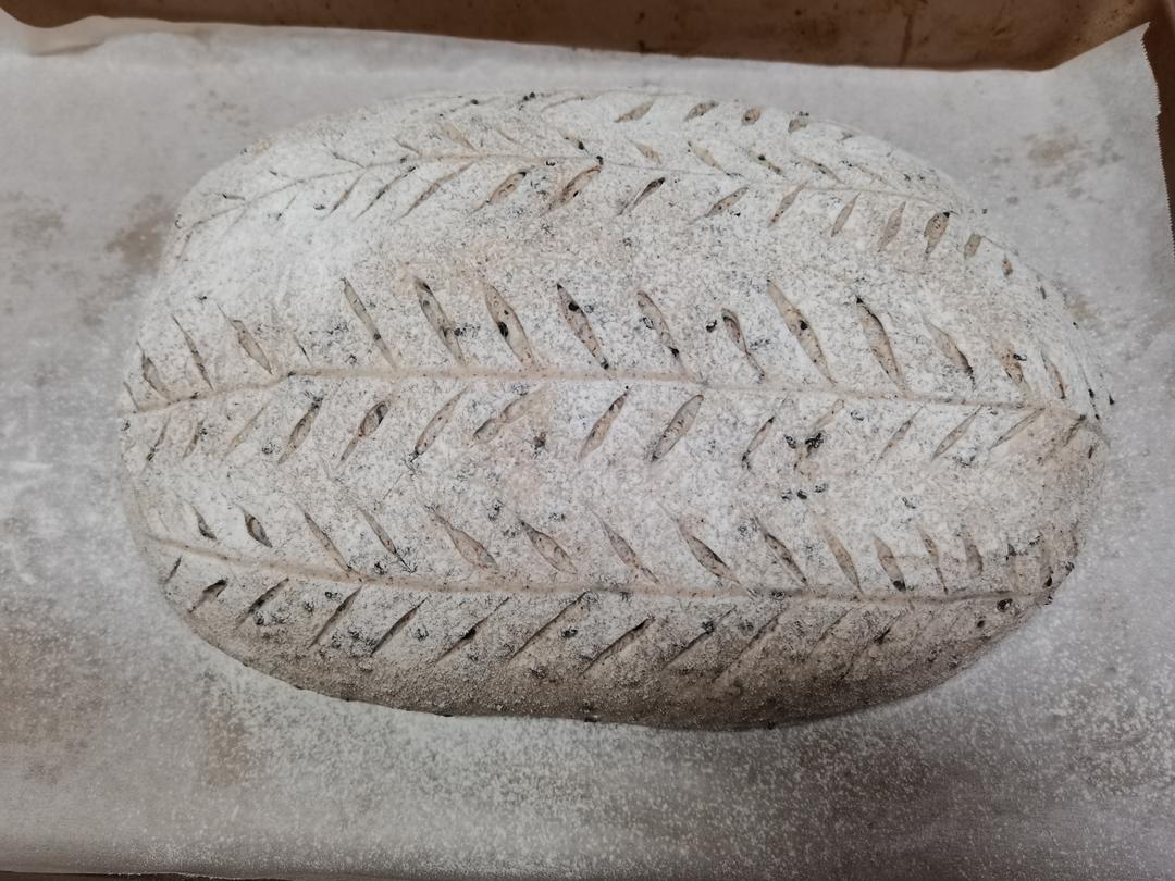 不可能减肥的欧包🥖（超简单！免揉！无油无糖）