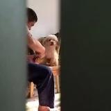 無肉不歡啊西西
