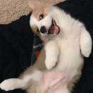 手机用户9498_eafm