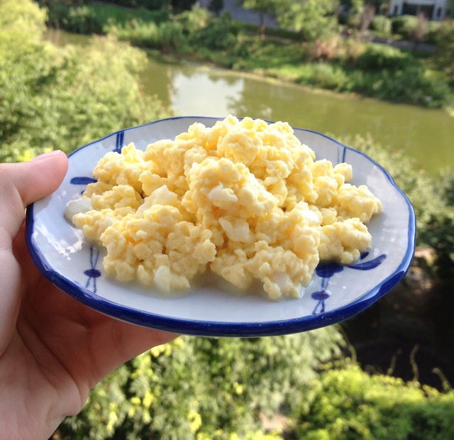 Scrambled Egg