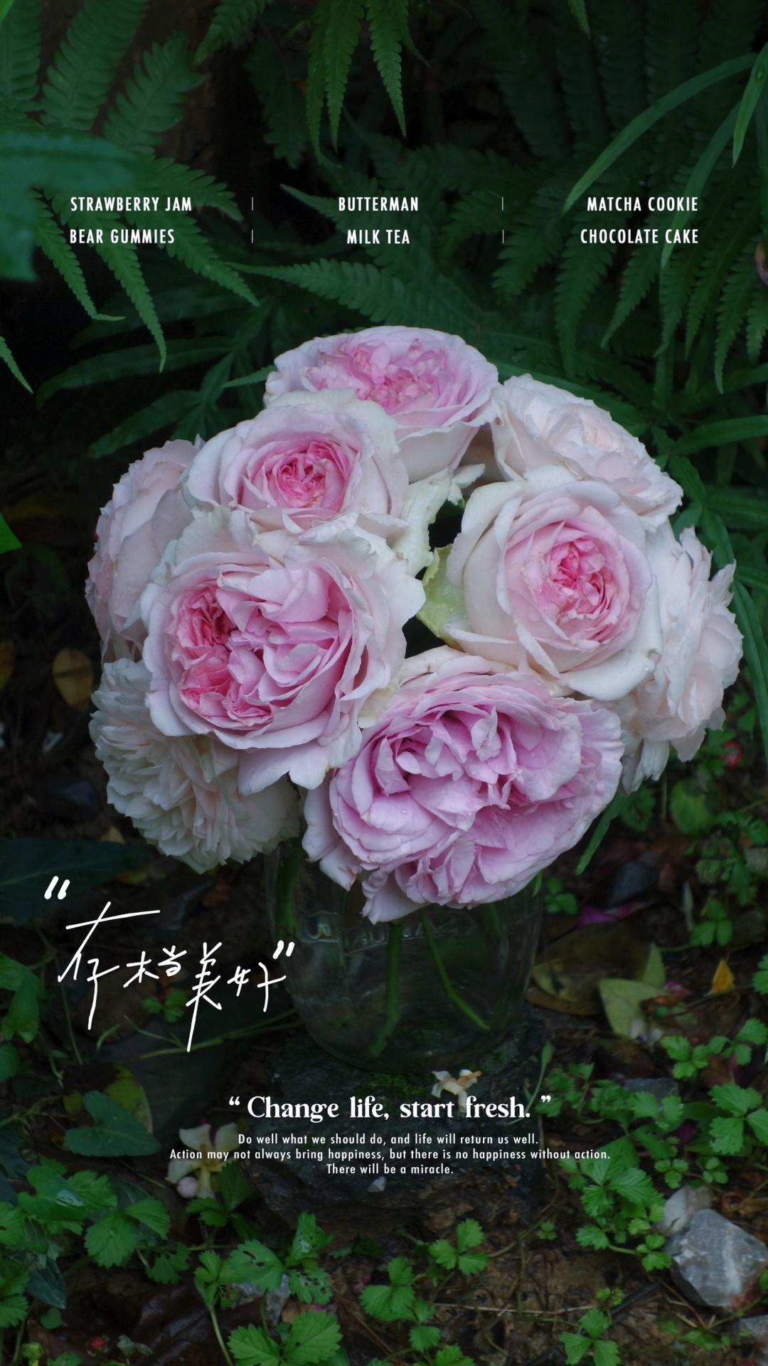 造园记:从陆家嘴后花园到山居小花园