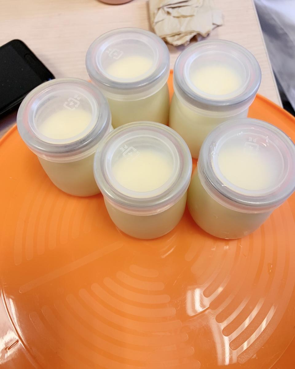 经典奶酪布丁