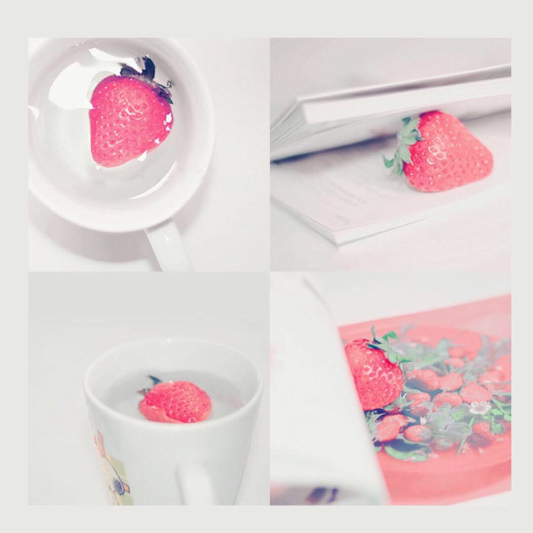 大脸猫Studio