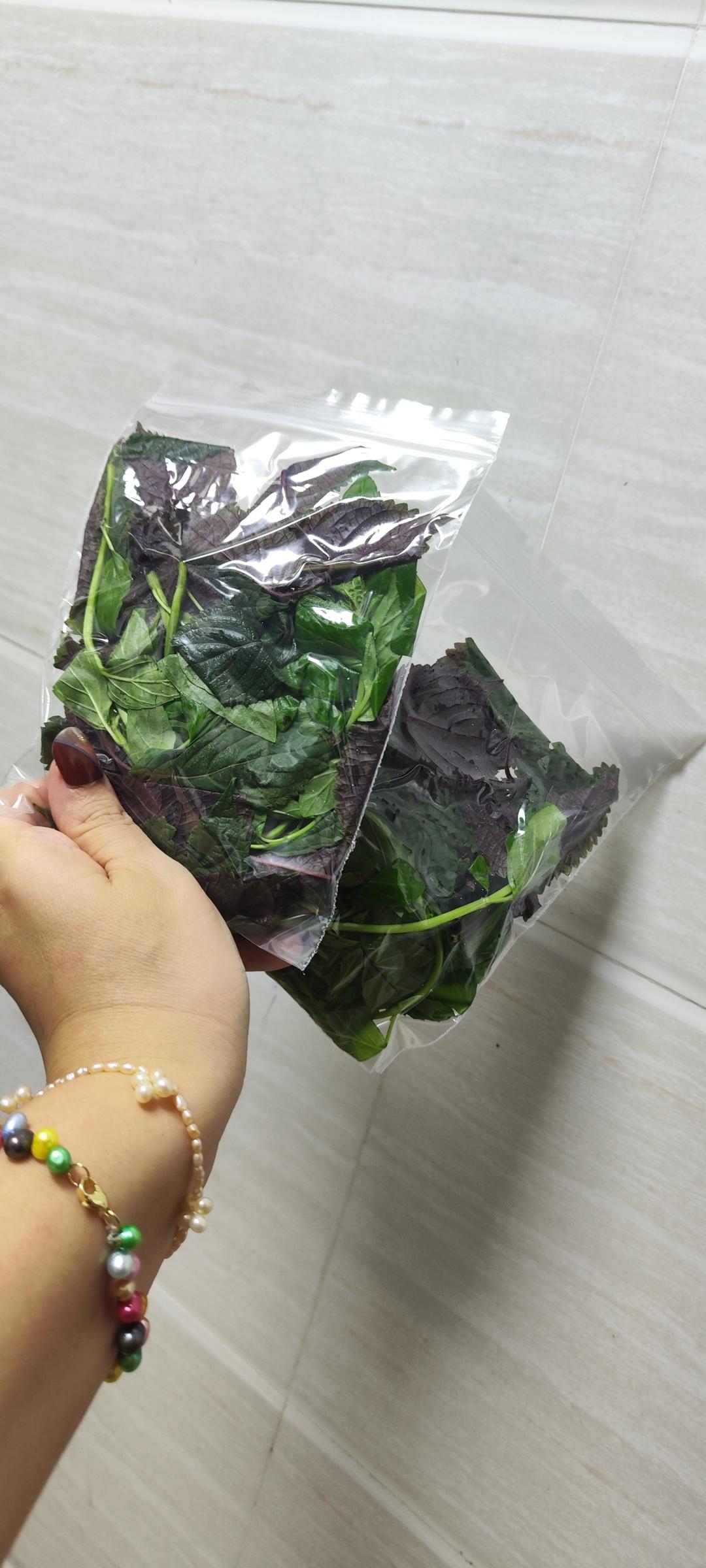 紫苏 薄荷保存方法