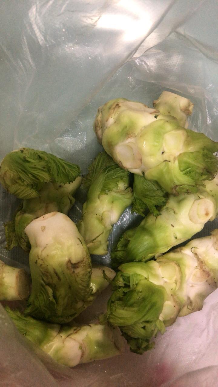 红烧芽芽菜的做法 步骤1