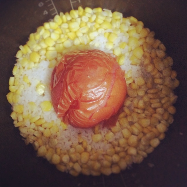 整个番茄饭加强版【两个番茄玉米饭】