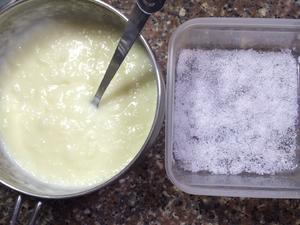 椰蓉奶冻的做法 步骤8