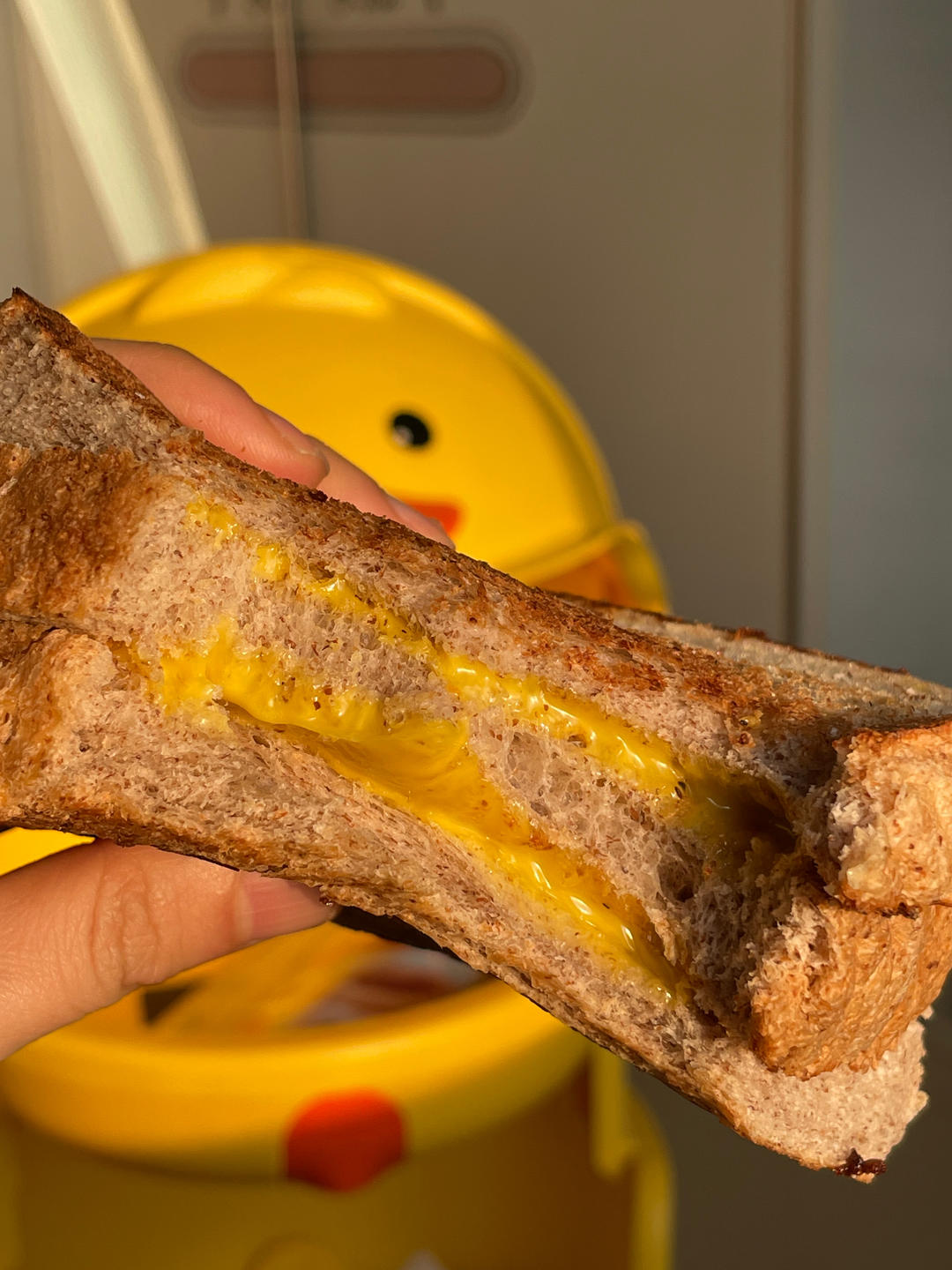 波兰种黑全麦吐司！黑全麦也可以如此柔软！