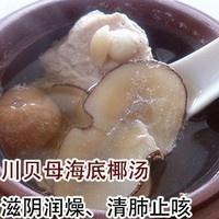 川贝母海底椰炖猪瘦肉汤的做法 步骤3