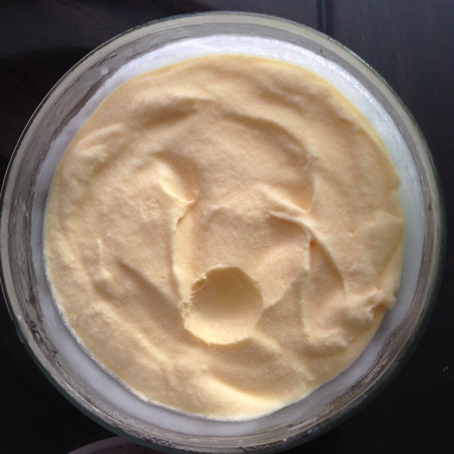 自制哈根达斯风味的冰淇淋