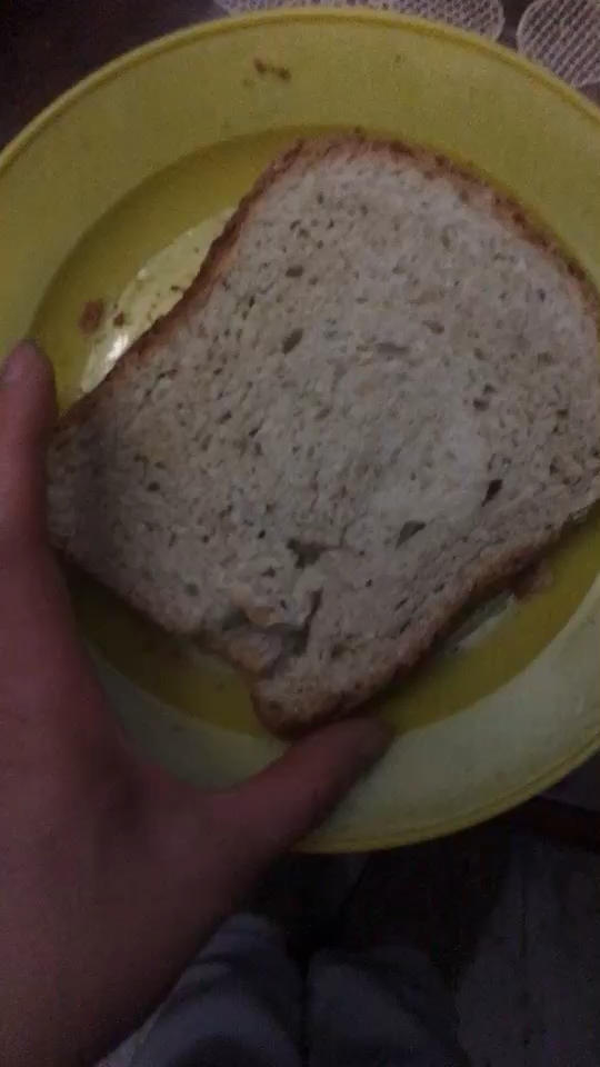 超软好吃橄榄油吐司（一键式面包机版）