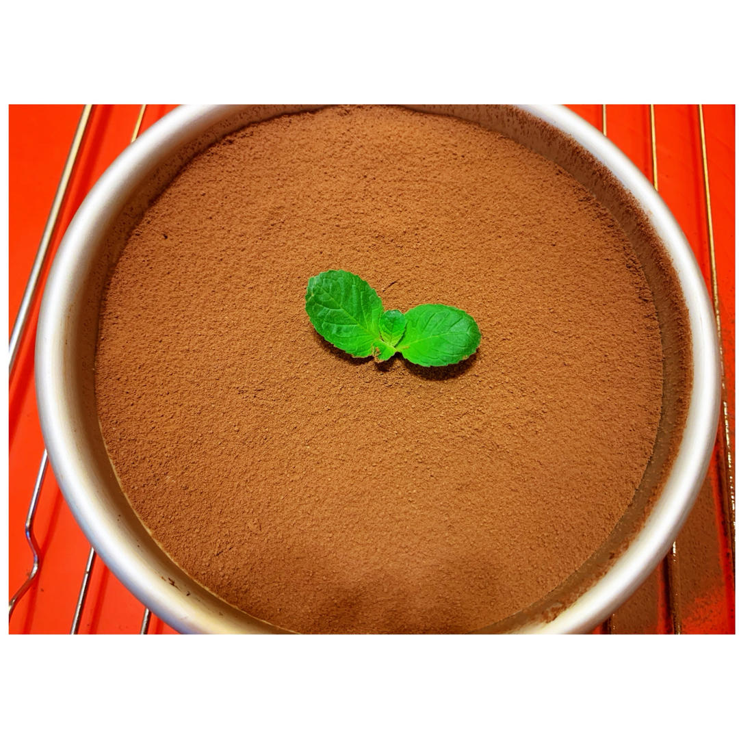 《Tinrry+》提拉米苏