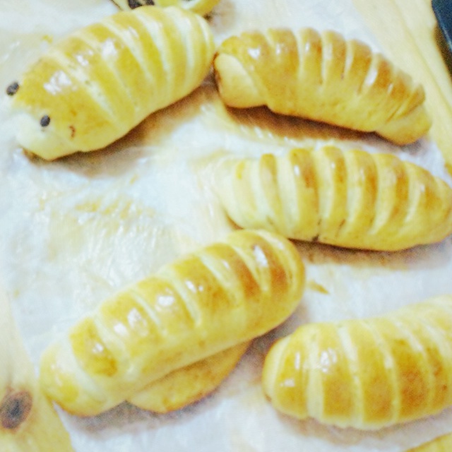 毛毛虫肉松面包