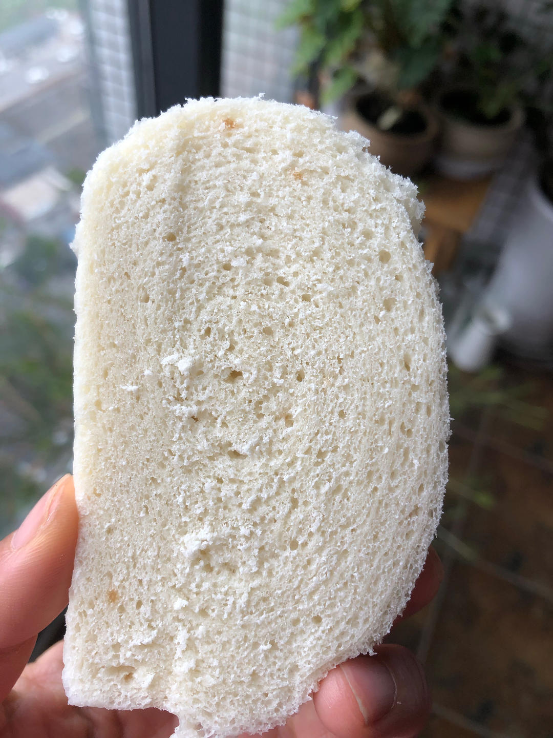 山东呛面馒头～一层一层的剥开，享受纯手工的美味