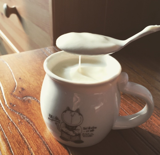 自制酸奶