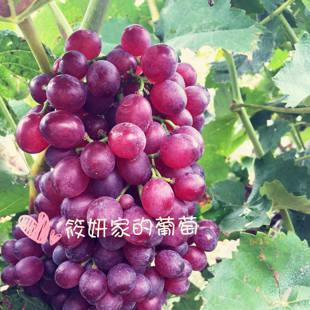 八月_75991