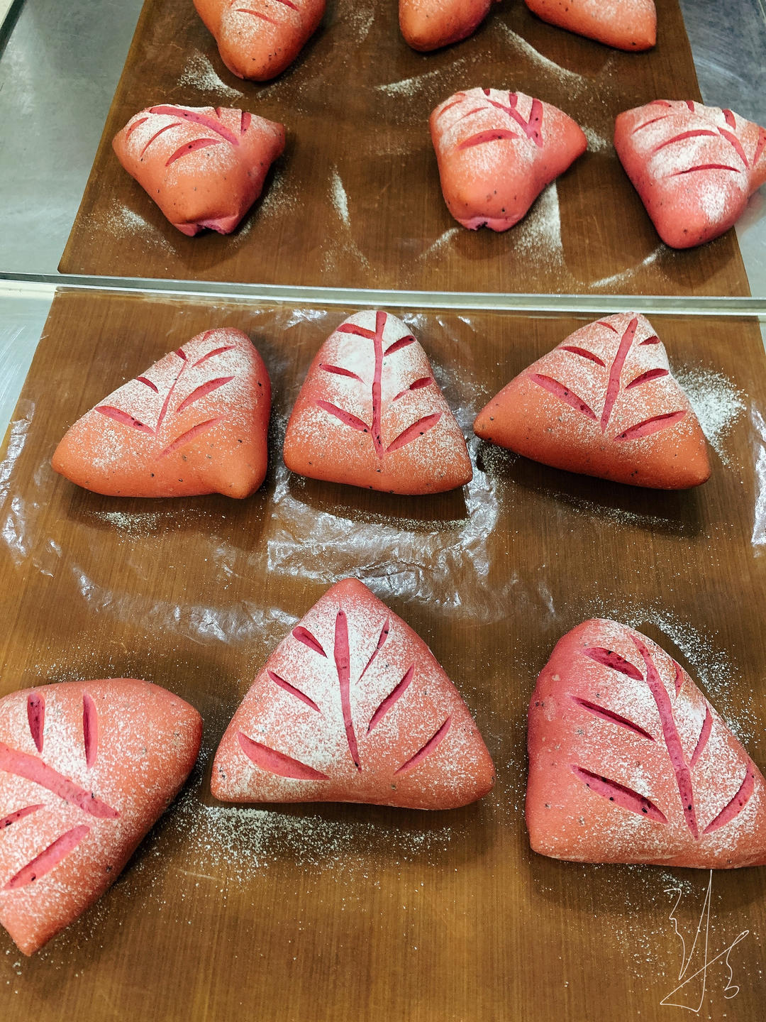 一次发酵/火龙果蔓越莓乳酪软欧