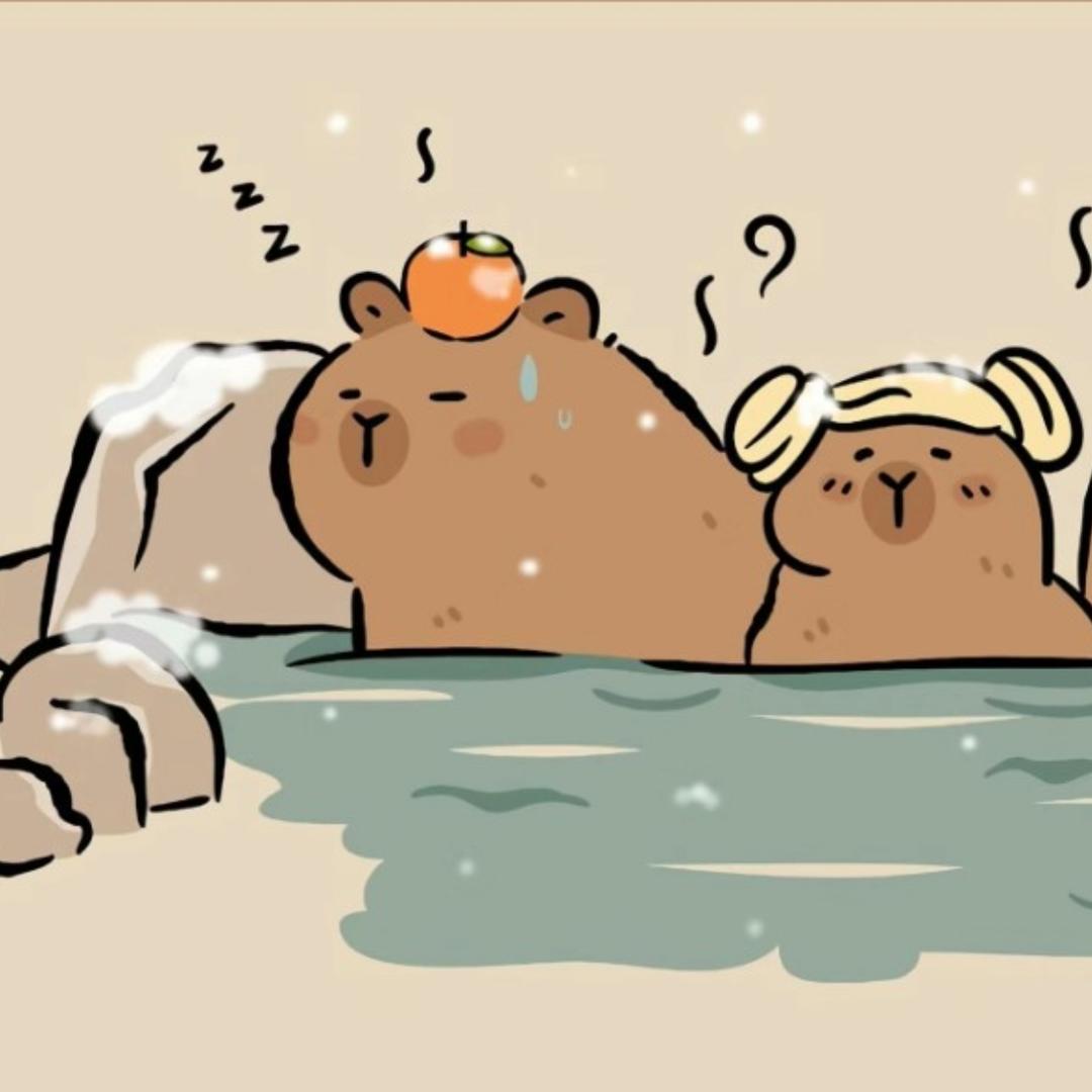 毛衣_sweater的厨房