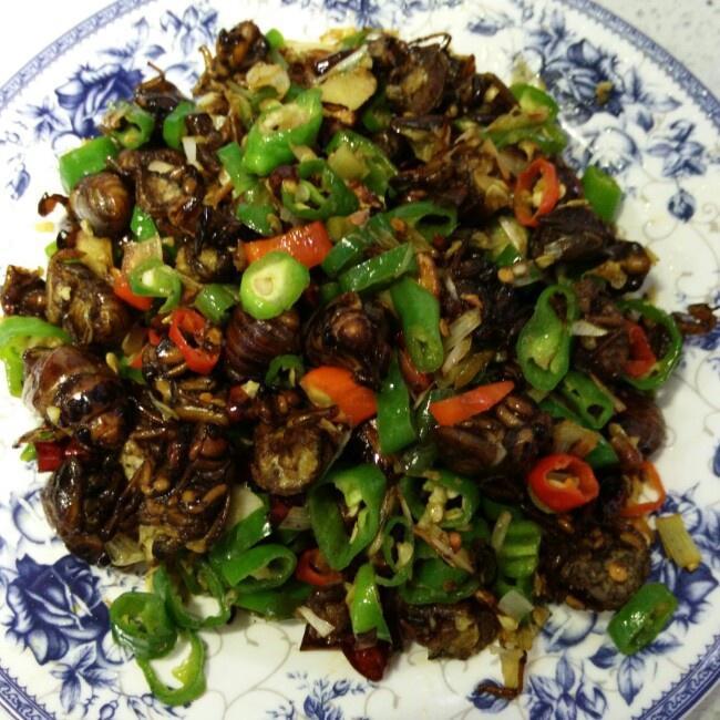 爆椒炒知了的做法