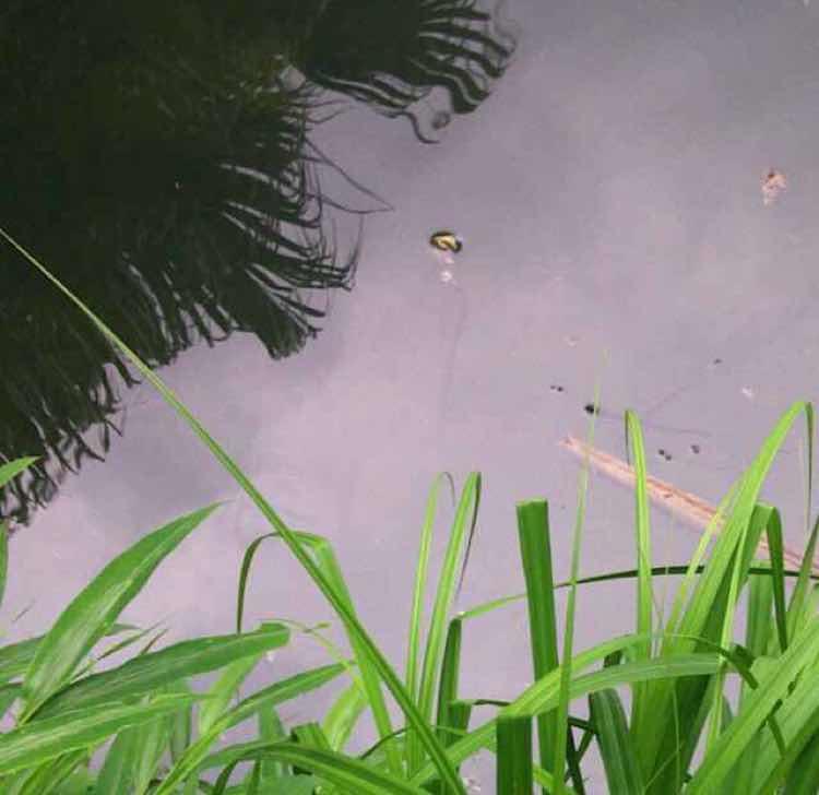 手机用户2405_jv14