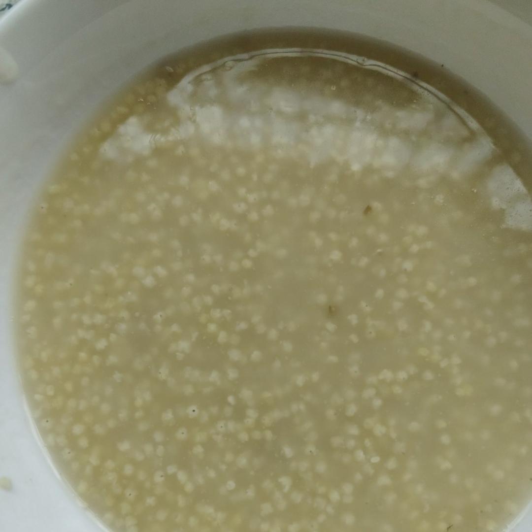 （黄金比例，绝不翻车）养胃电饭煲版小米粥