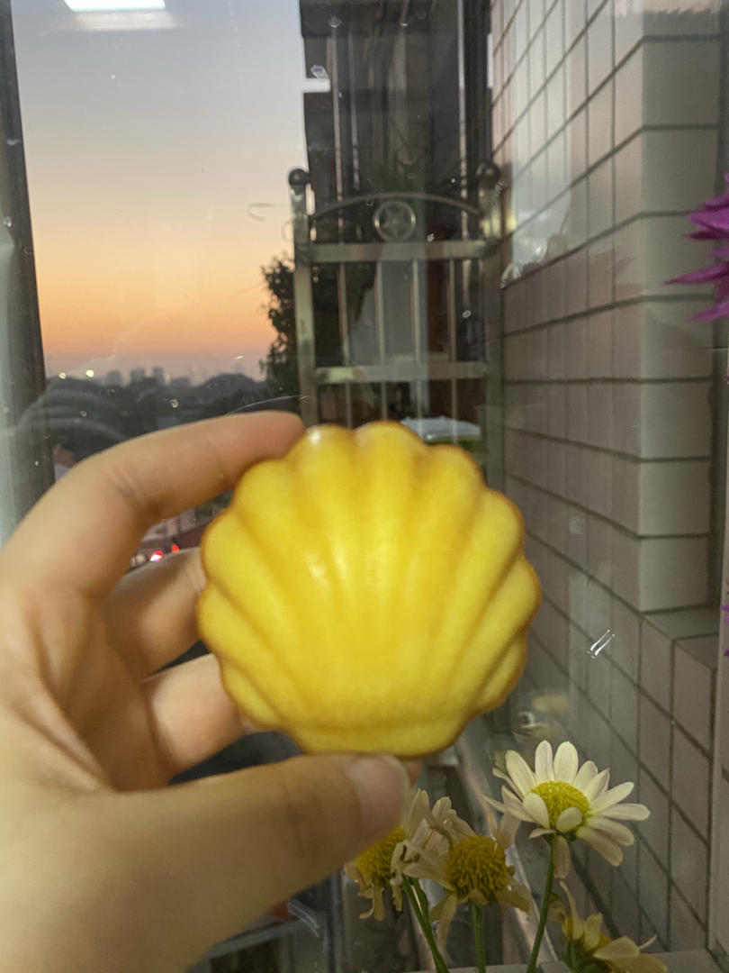 浑身文艺气质的甜点——柠檬玛德琳