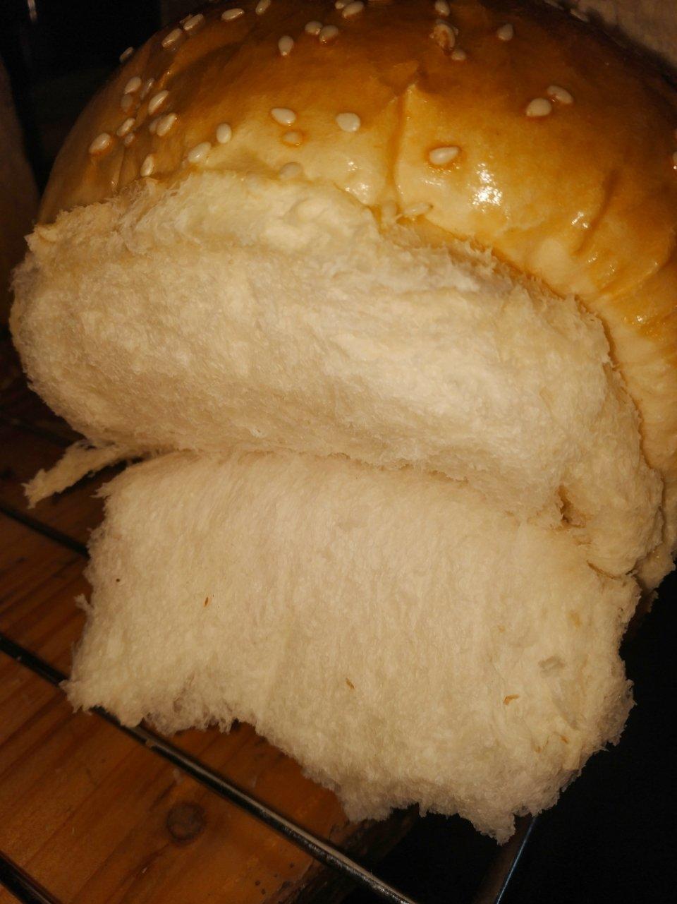 万用面包胚（冷藏中种法）