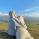 长颈鹿吃不到草莓