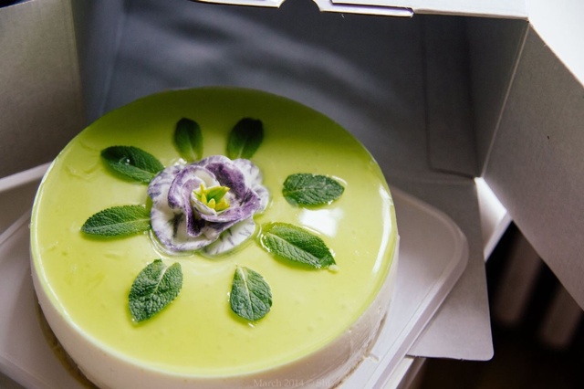 蓝莓冻酸奶芝士蛋糕