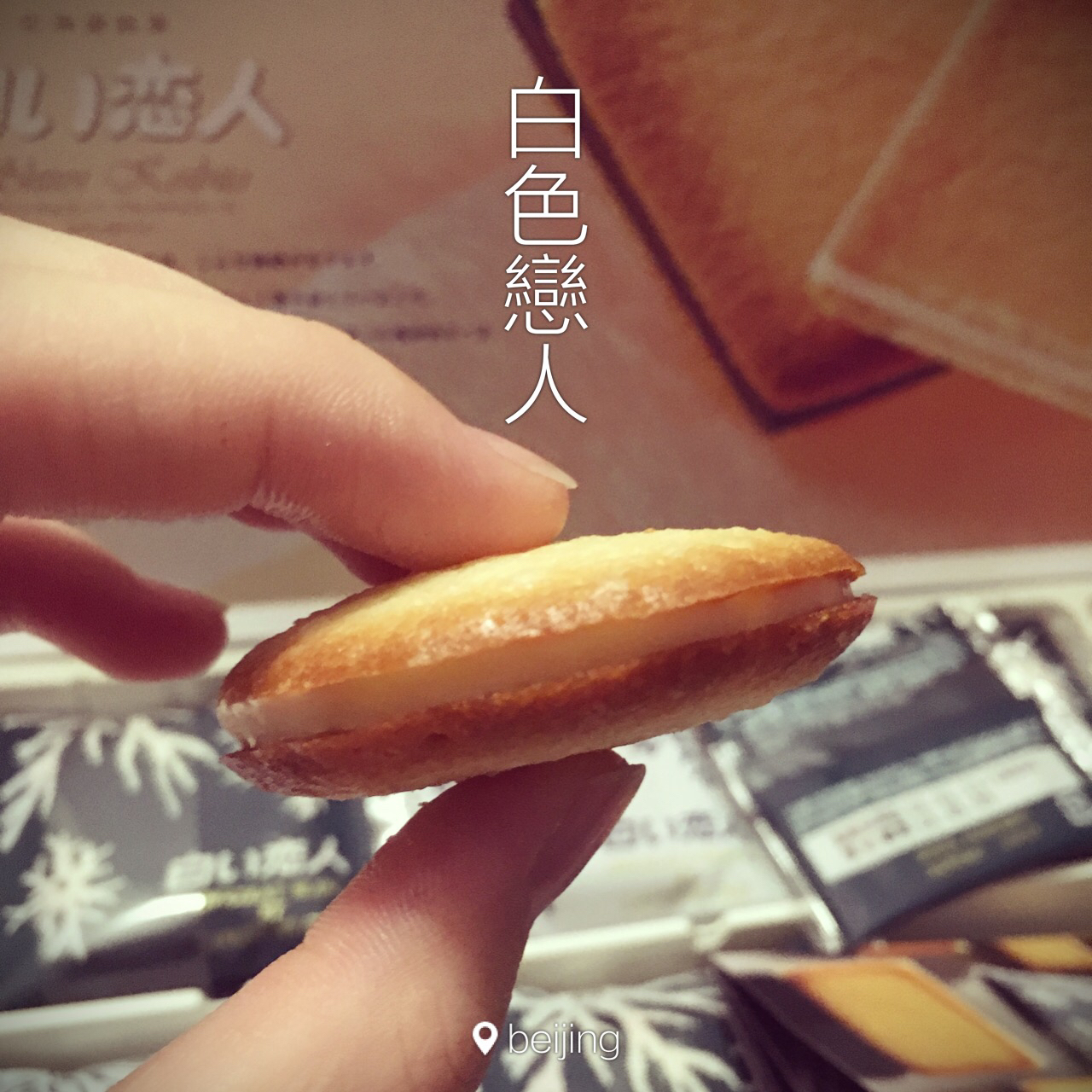 北海道白色恋人(2种口味)
