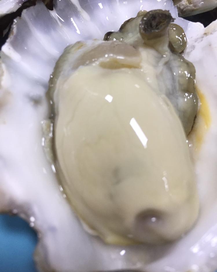 蒜蓉粉丝蒸生蚝
