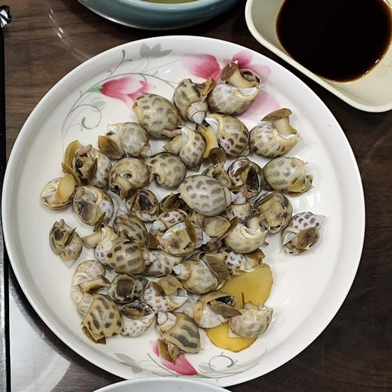 白灼花螺