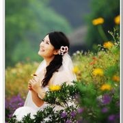 林子里的花
