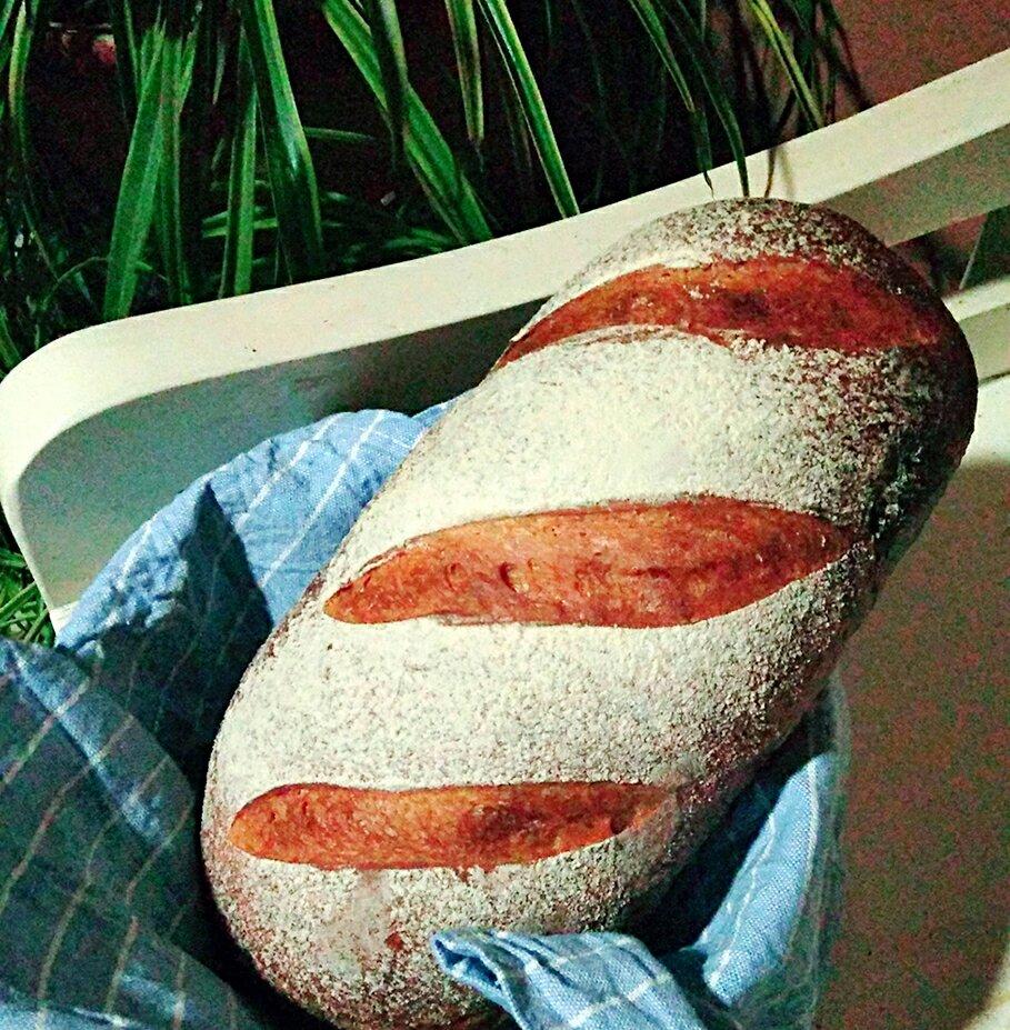 全麦红糖桂圆软欧包