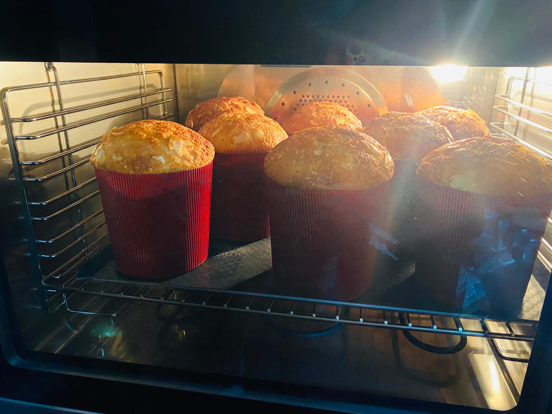 圣诞面包--潘娜托尼Panettone