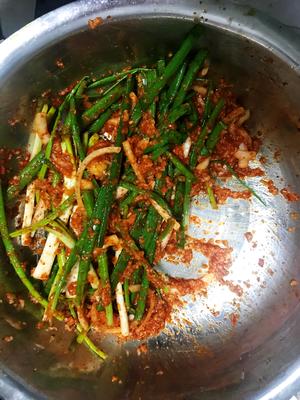 韩式泡菜萝卜的做法 步骤5