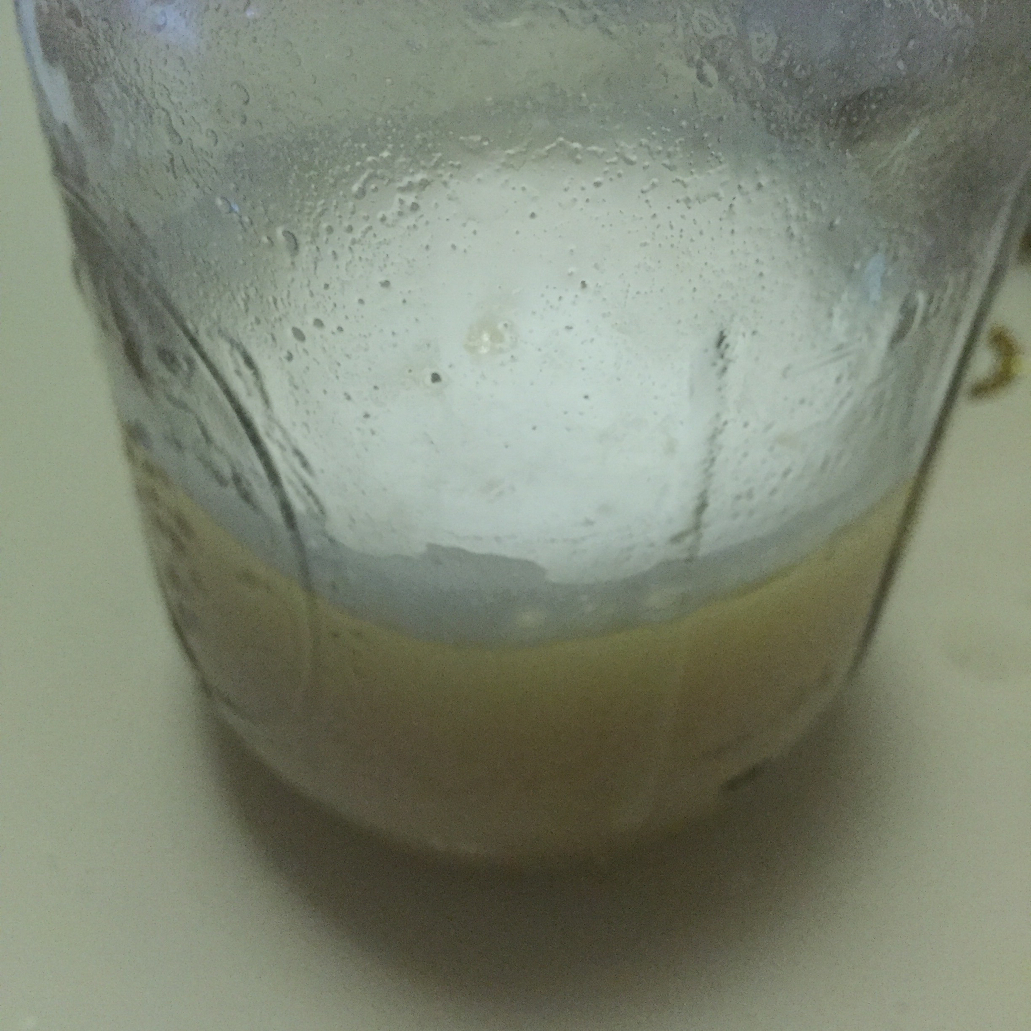 熟豆豆浆