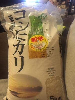 超级完美焖日本米饭（粳米、新米）鳗鱼饭 寿司米的做法 步骤1
