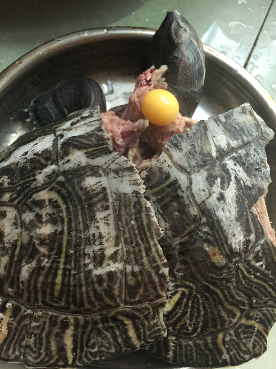 龟蛇瘦肉祛湿汤