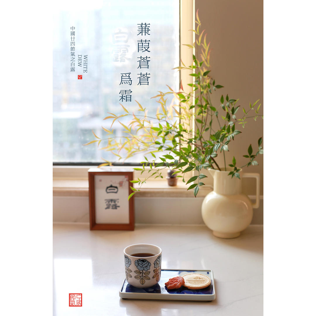 🍀岁月静好🌿
