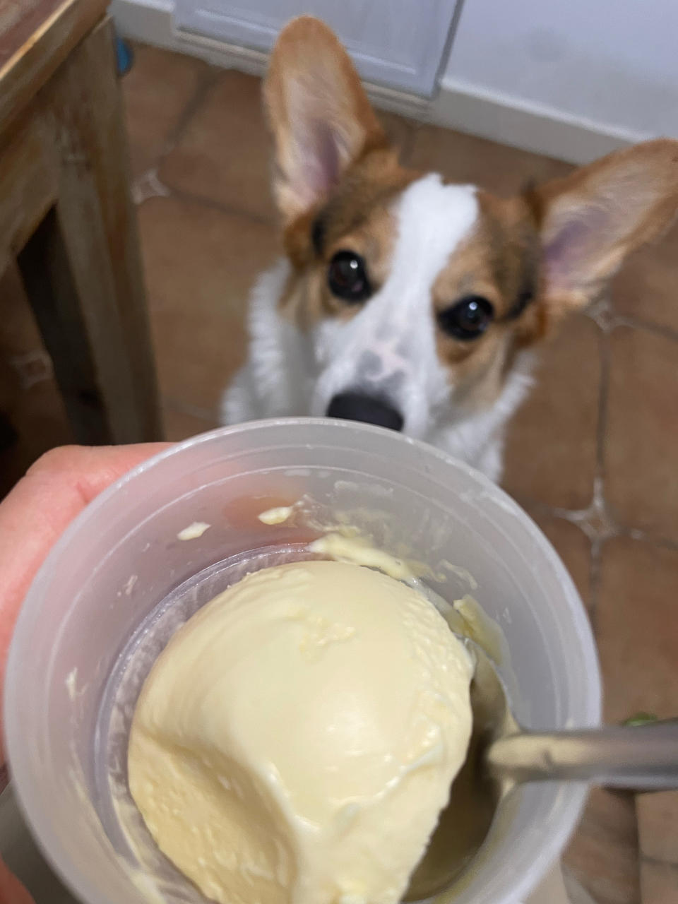 自制冰淇淋（懒人版无需搅拌的冰淇淋）