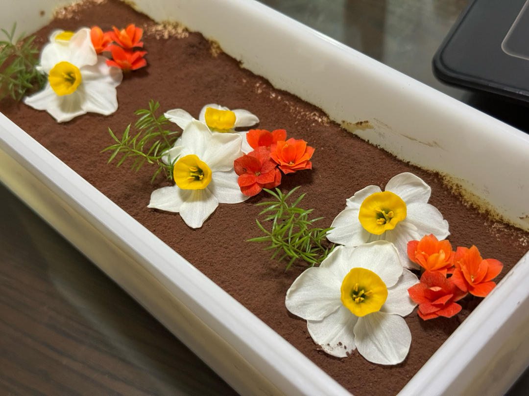 在欧洲学会的经典版提拉米苏