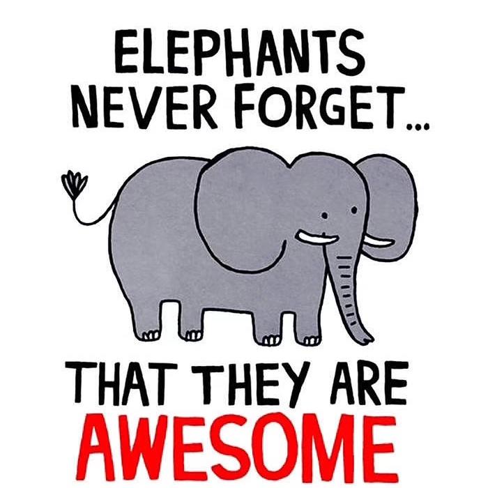 好好吃饭的鼻纸兄