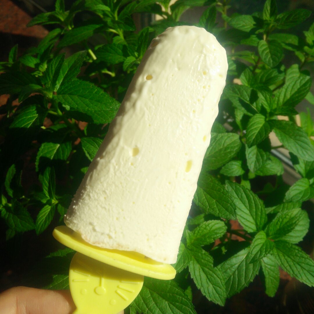 特浓奶砖雪糕冰淇淋