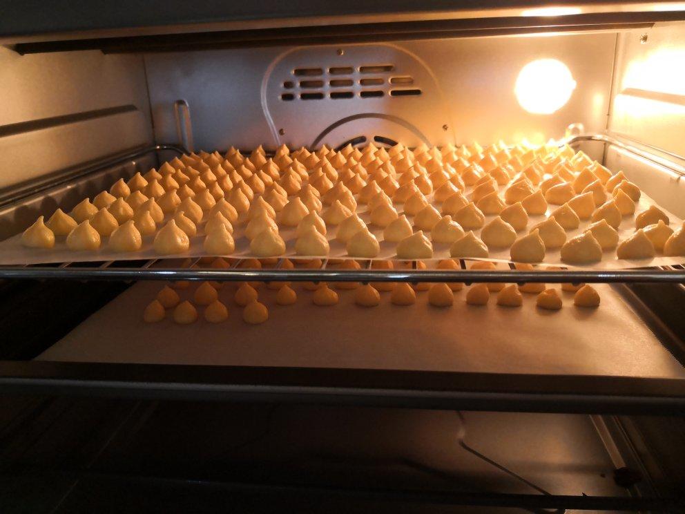 自制_烘干机，烤箱都可以做的 各种果蔬_酸奶溶豆