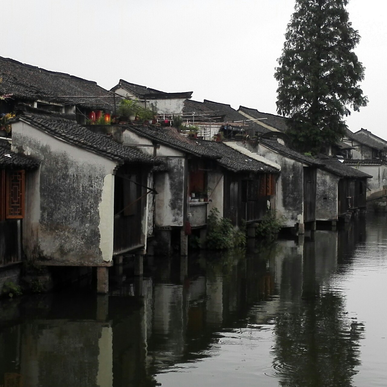 雨狗屎的妈妈