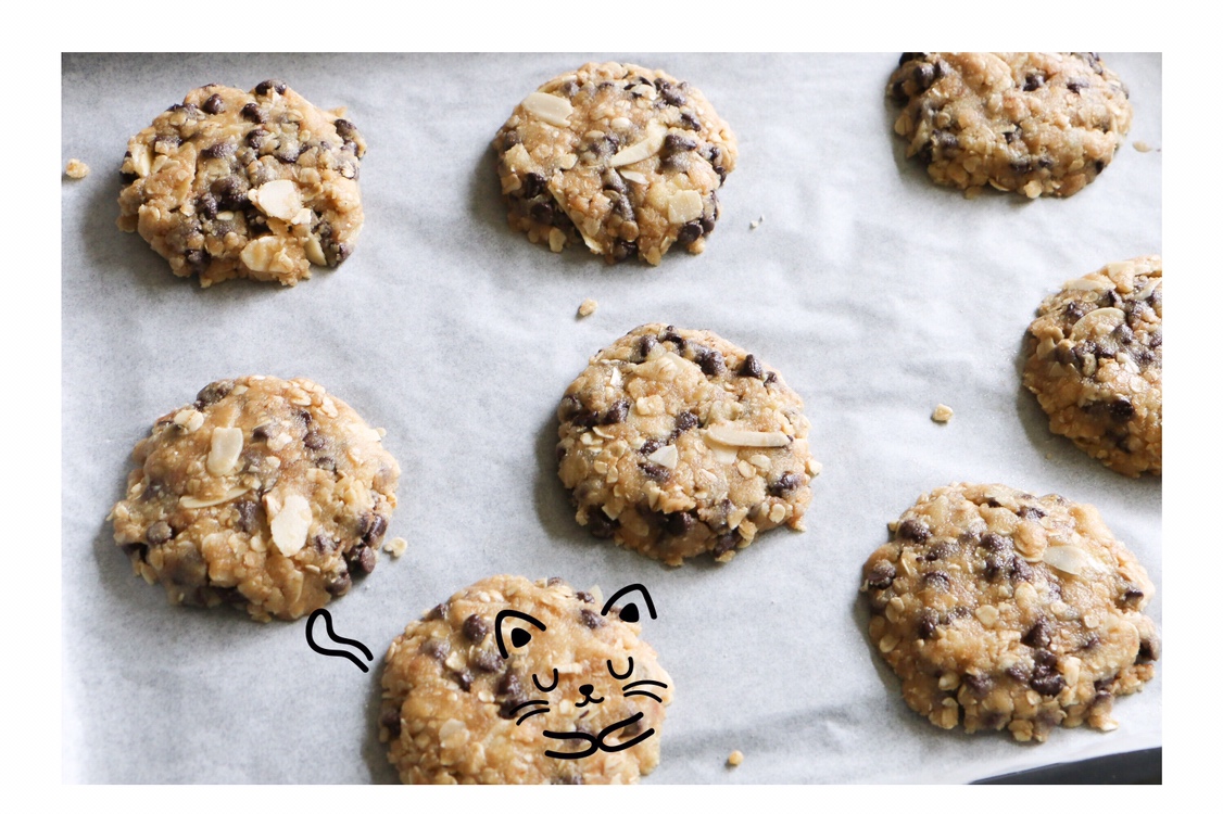 超快手燕麦杏仁健康饼干曲奇—超模karlie’s kookies的做法 步骤5