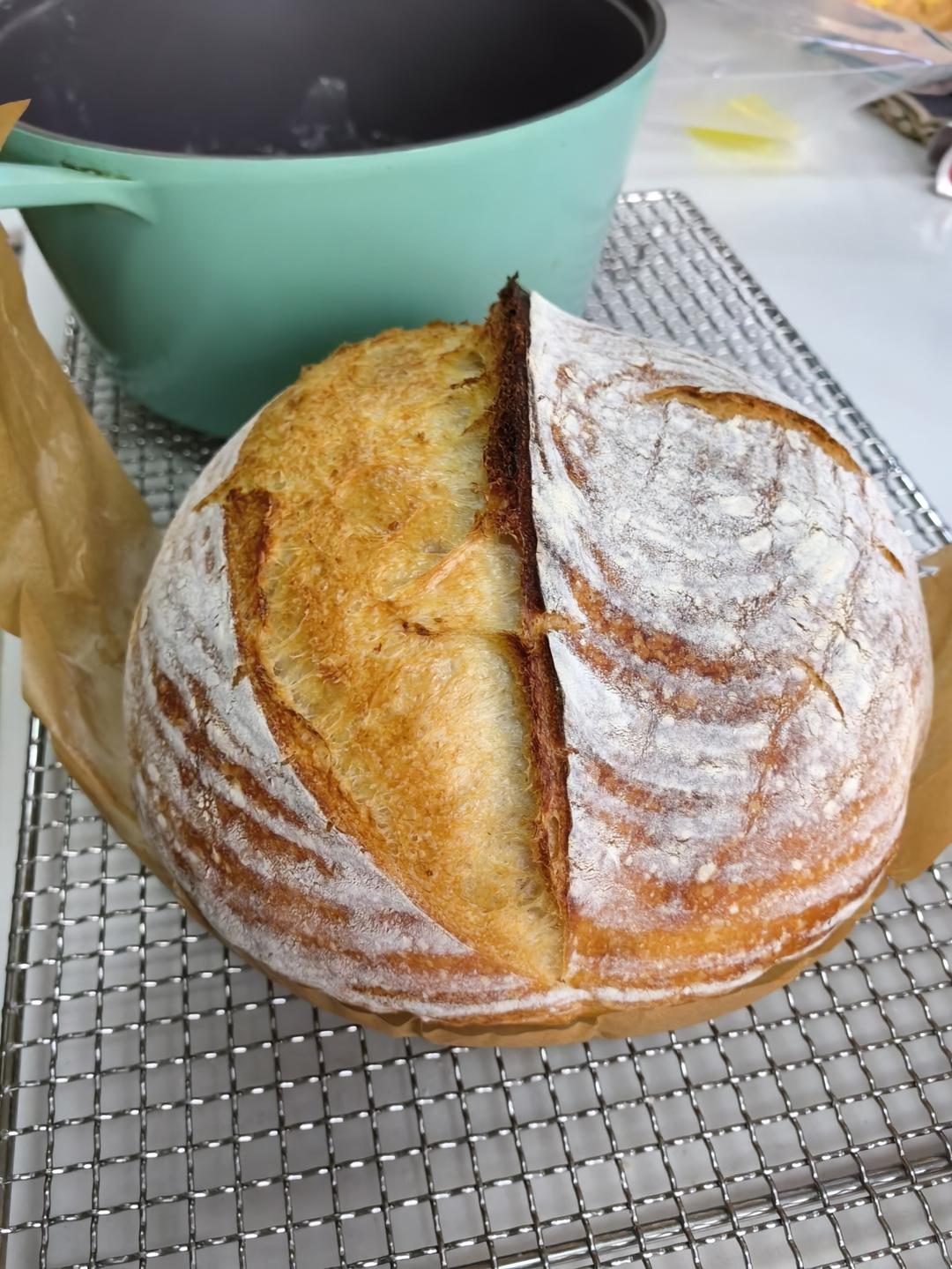 【Tartine Bread】天然酵种基础乡村欧包